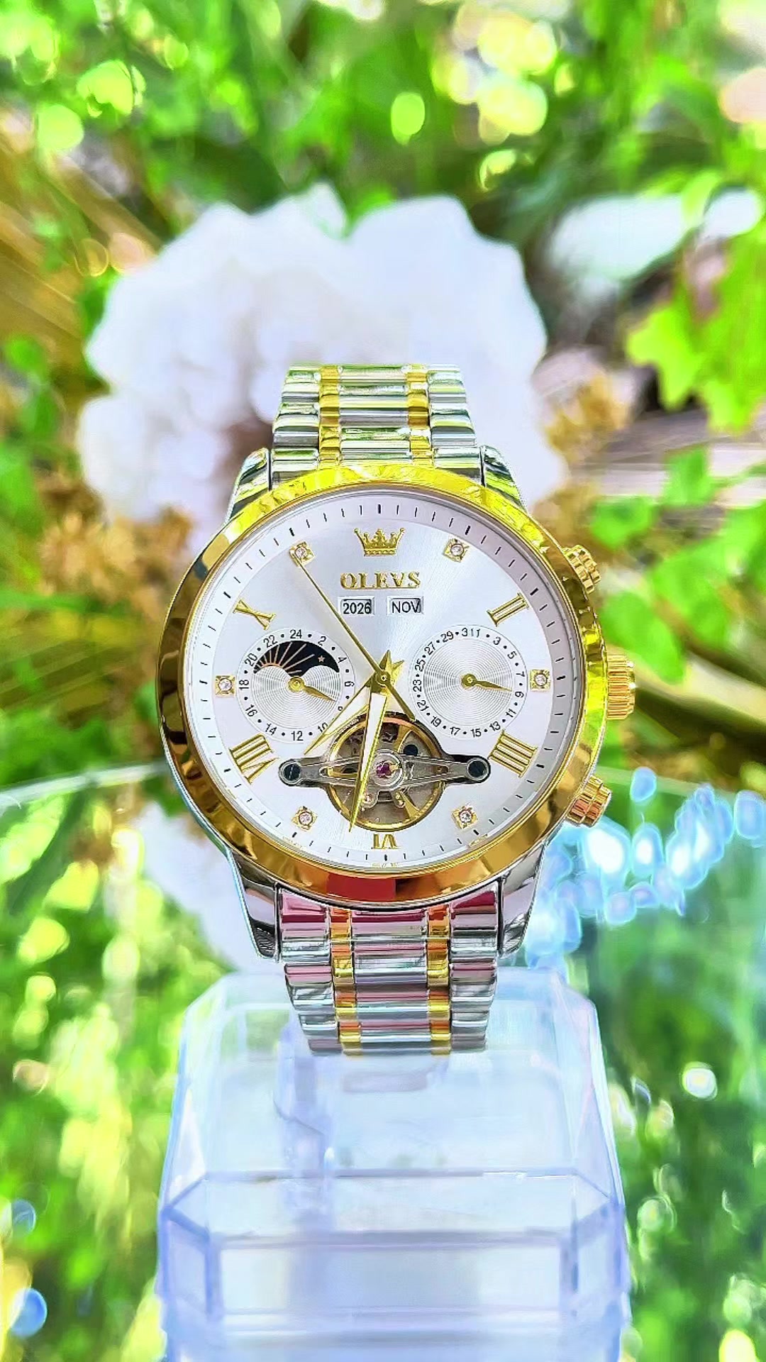 @LanLan-WATCH✅