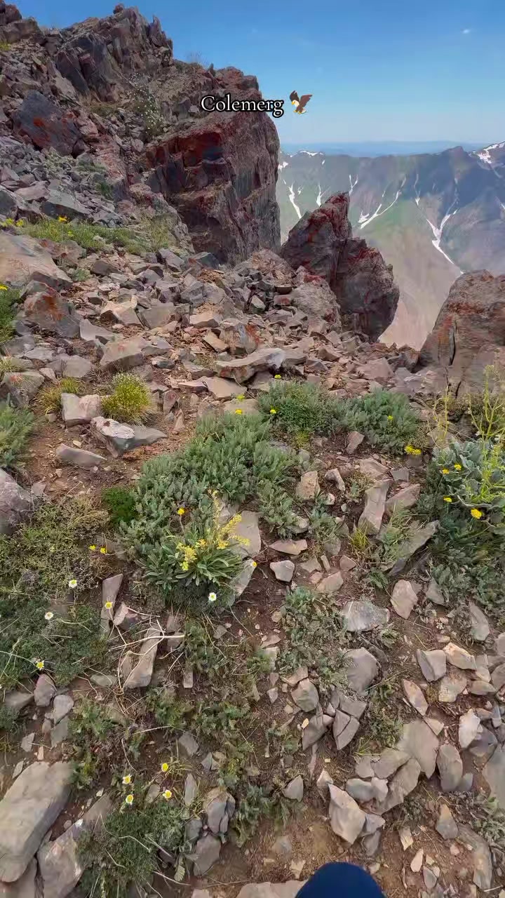 @ᎬmᏒᎪhbᎬᎽ30