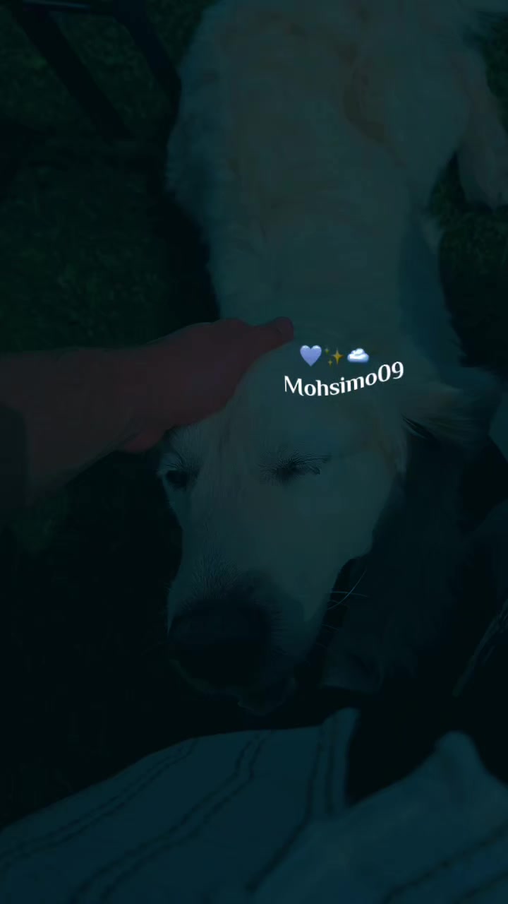 @🎶moh 09✌🏻