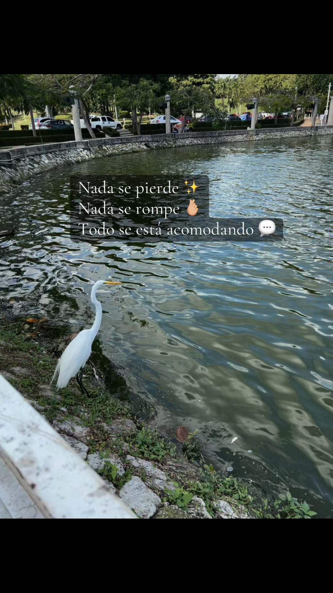 @ Nomy8521 🍓