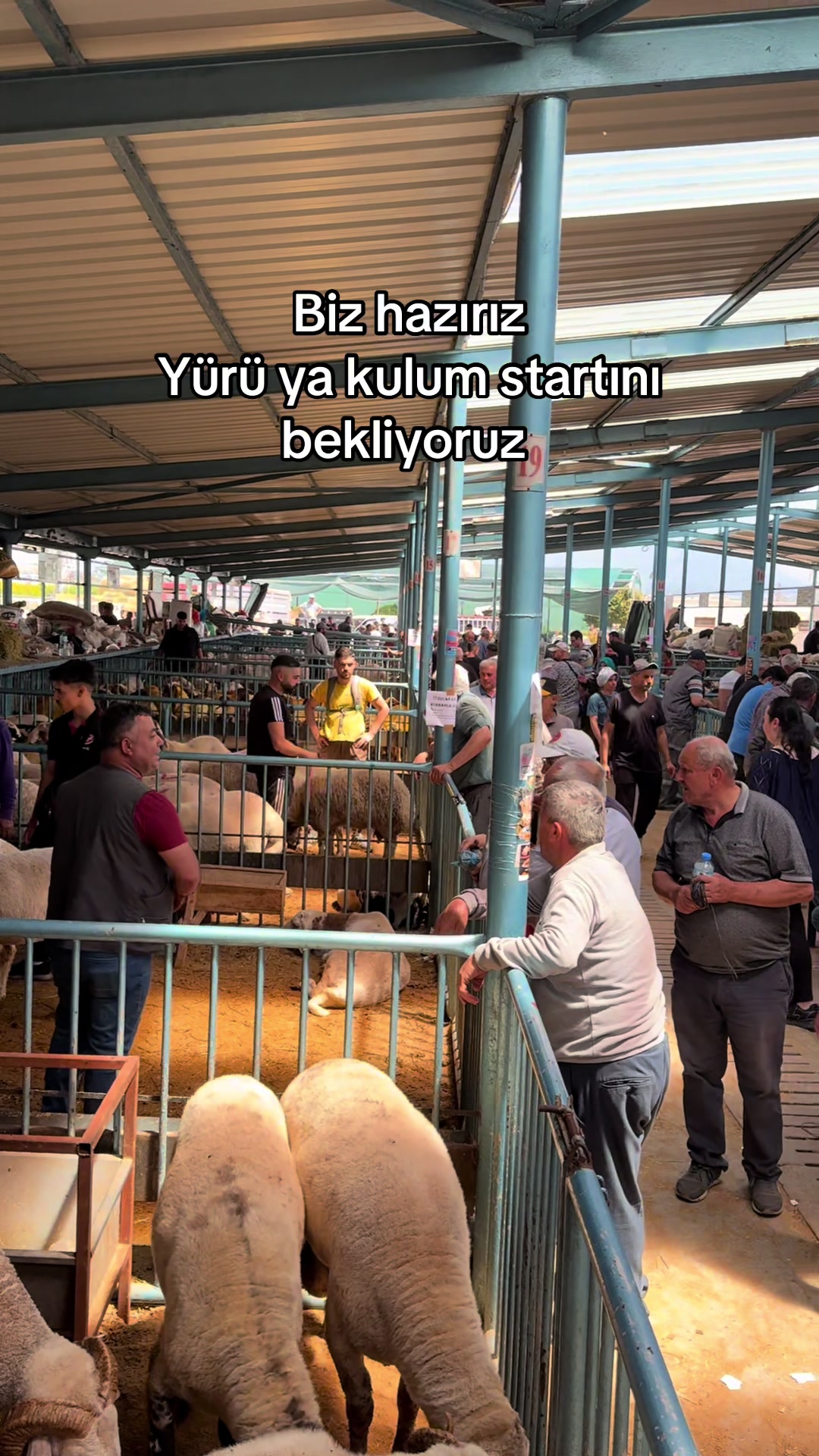 @Osman Tuş