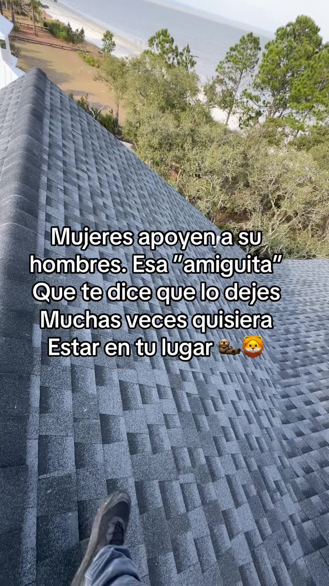 @alex_montejo05