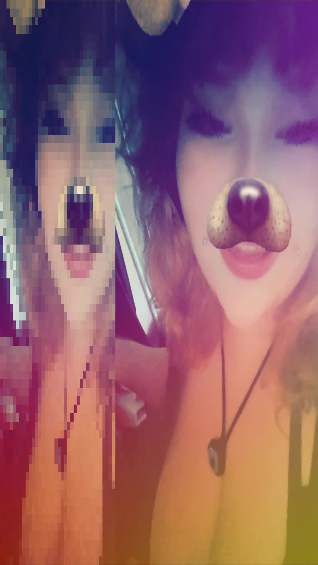 @🐶✨️chubby puppy!✨️🐶