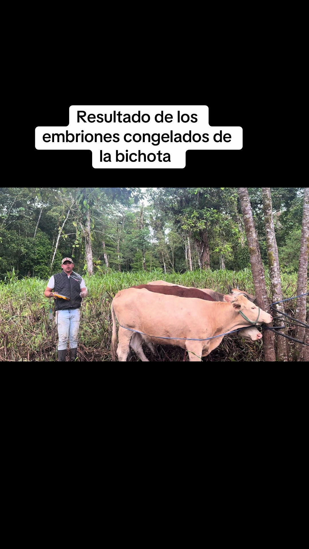 @Hern&aacute;n Andres