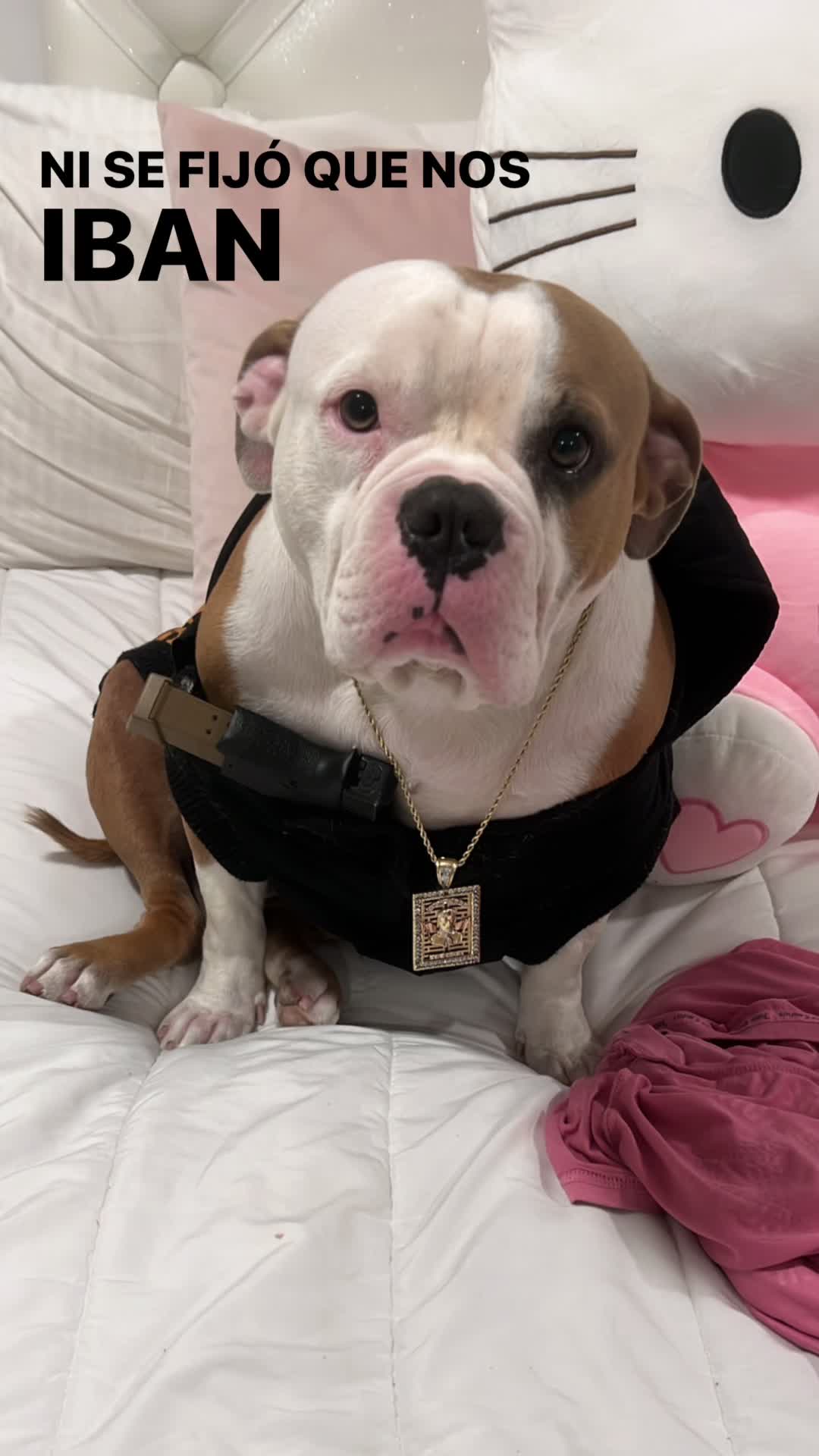 @🎀