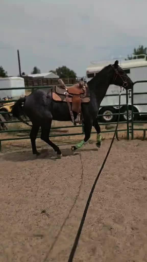 @Cowgirl Tuff Colt Training ❤️