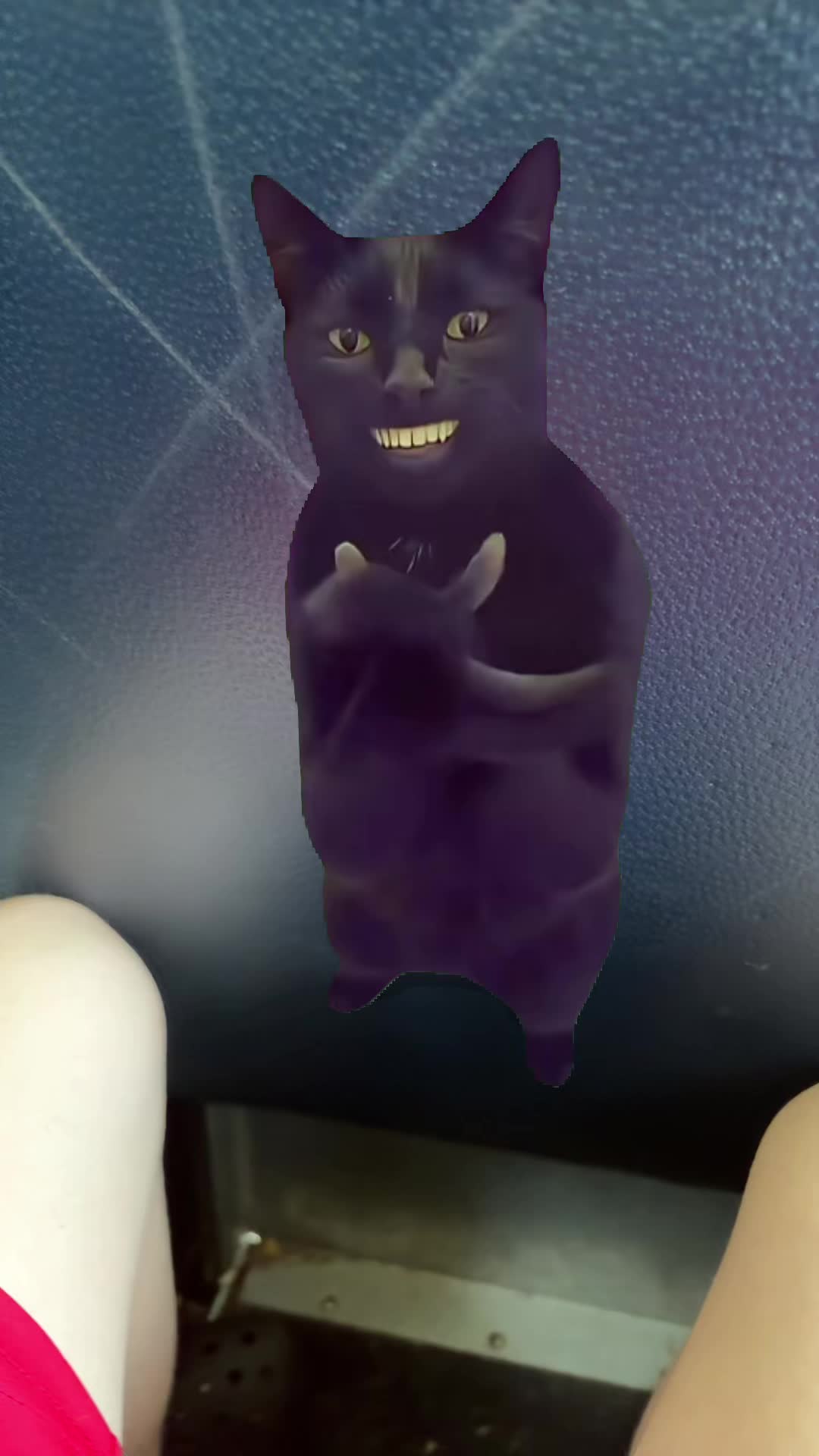 @Carter Lineberry