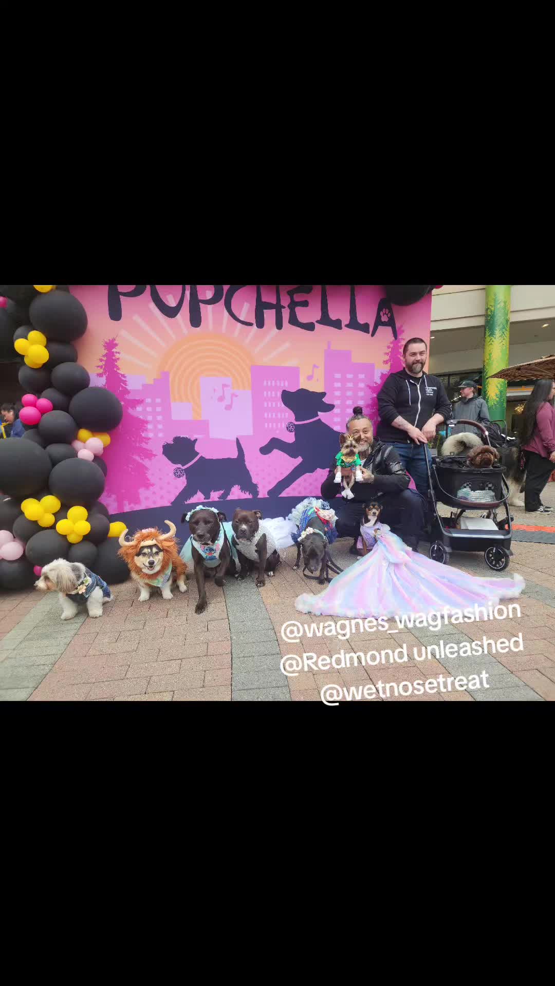 @bigbadscarypitbulls