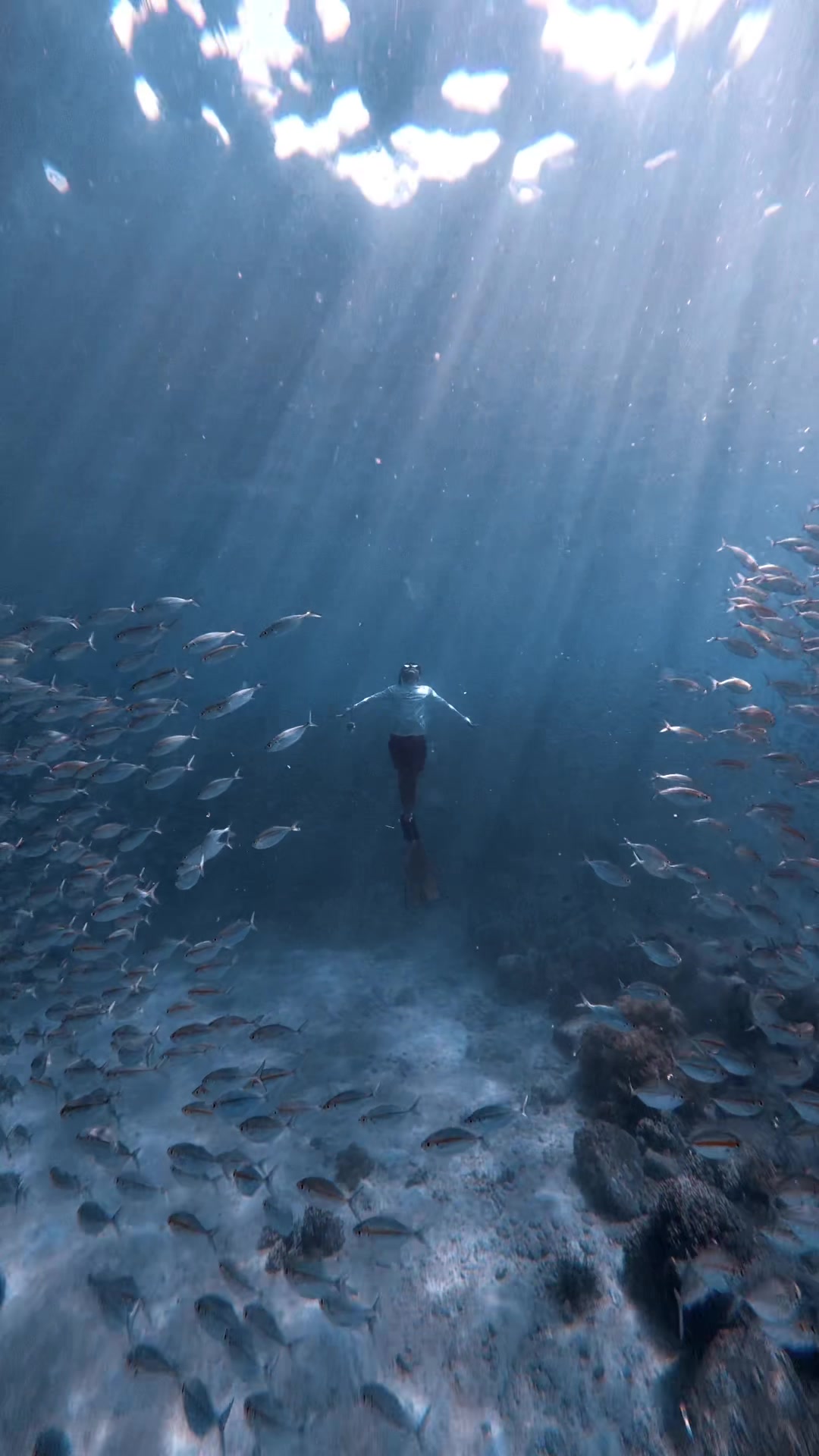 @Love Freediving Nha Trang