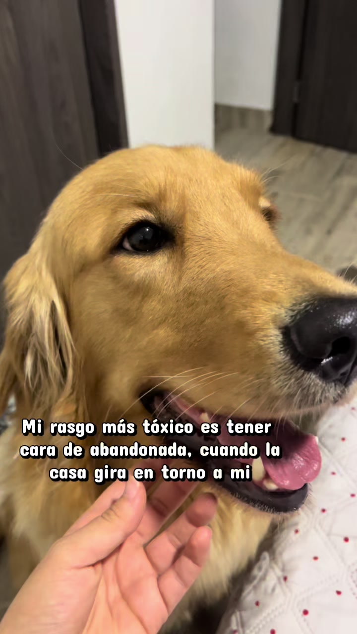 @Mila 🐶