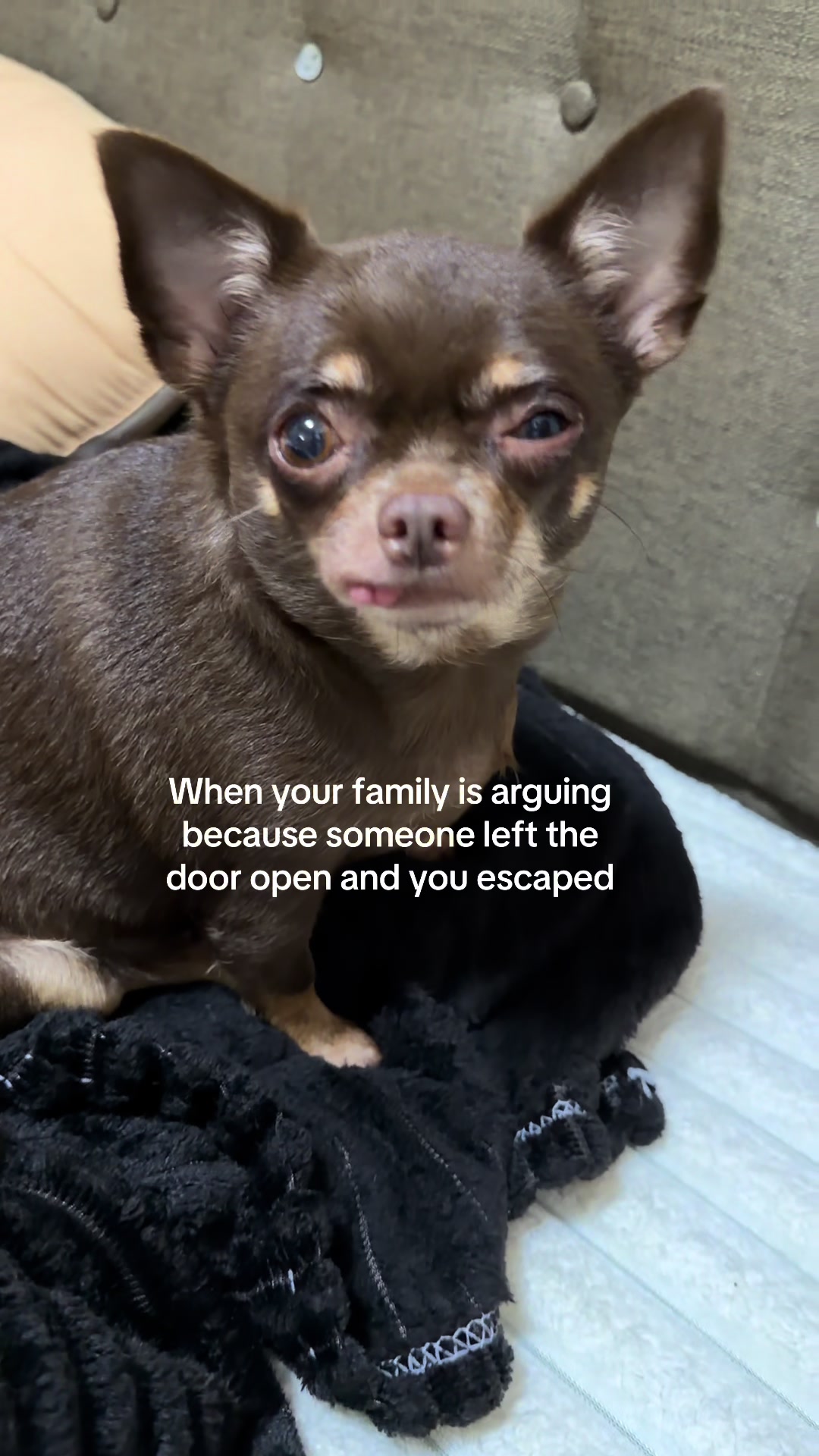 @Bambi
