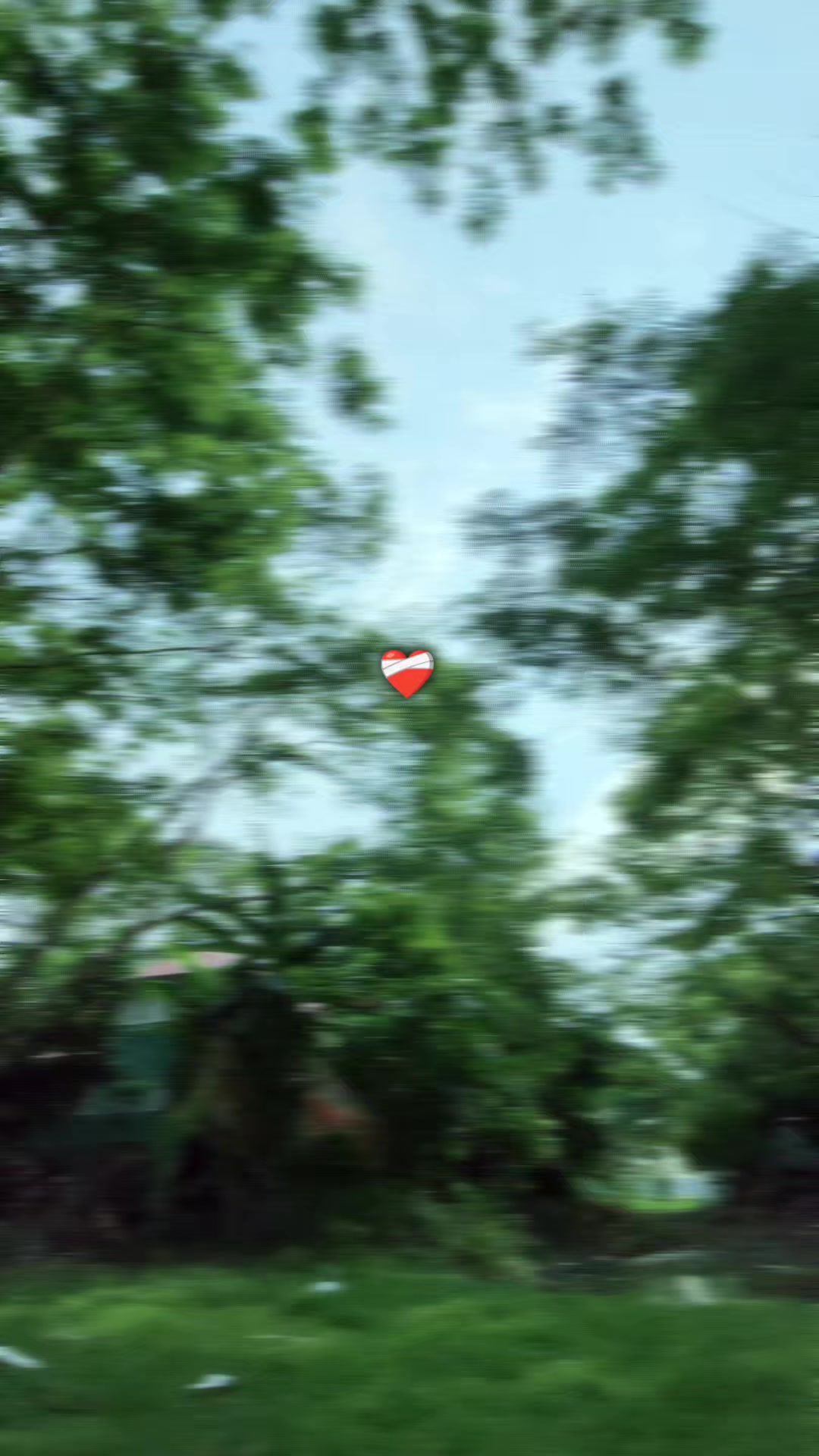 @🕊️ _Ti t Hi_🕊️