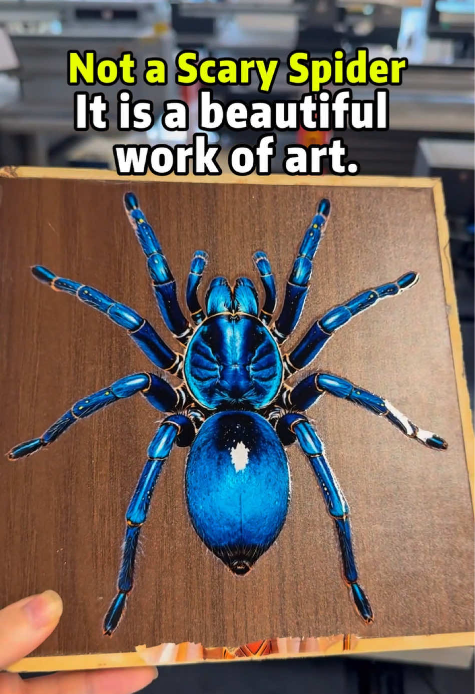 @31duuvprinter