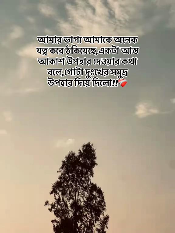 @Hafsa Israt