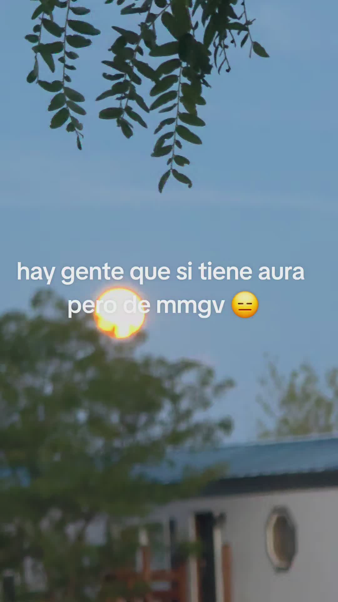 @Susana🌸🪷🌚🌪🧿🪬👠