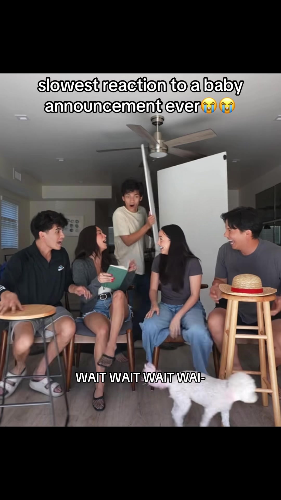 @Andrew Wassabi