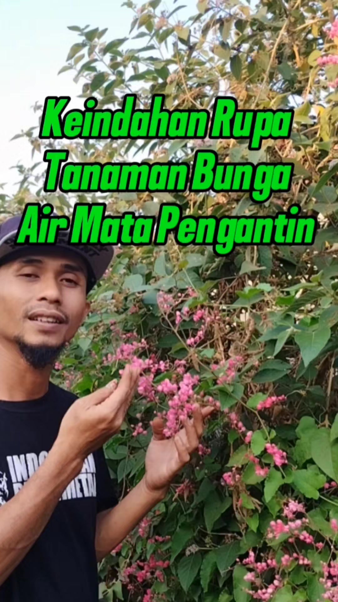 @Bukit Farming