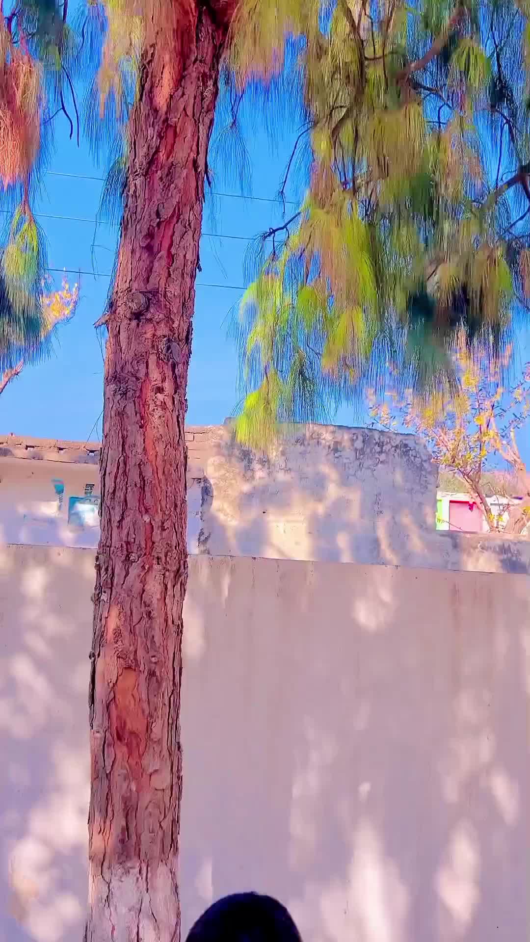 @💫ذاکر یوسفزئی 💢