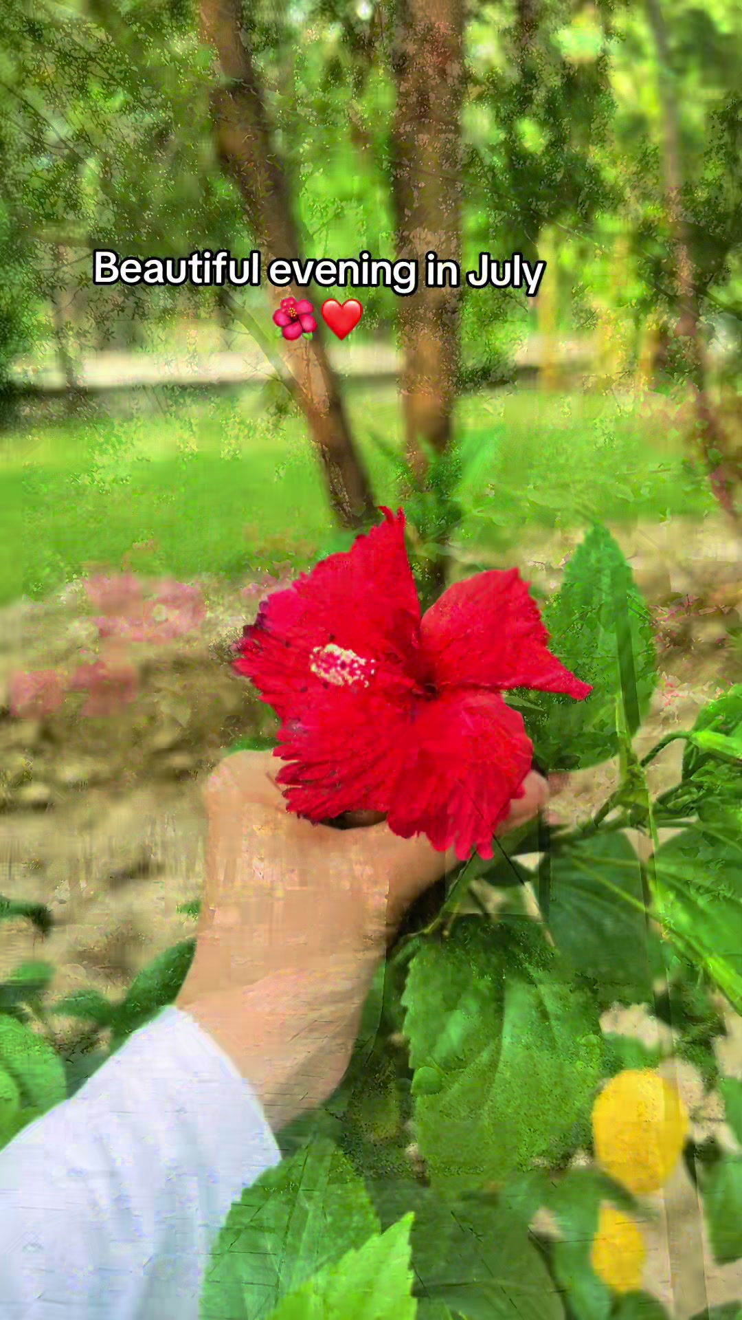 @𝐒𝐎𝐁İ𝐀𝐑𝐀𝐍𝐀🌼