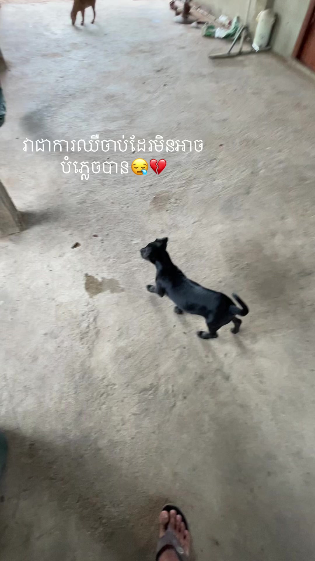 @แแผ แแธ ๐ซ