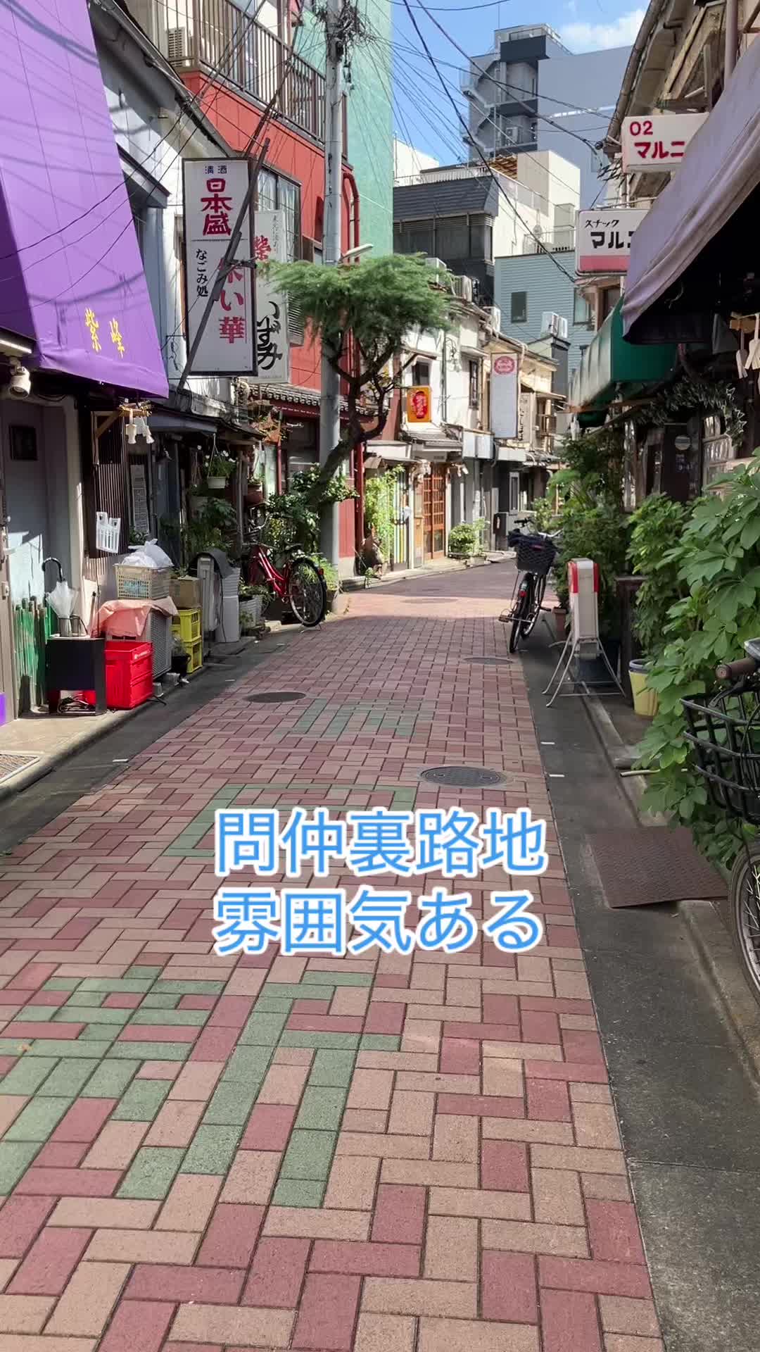 @Mameshiba🐕🐕H.A🍀💐