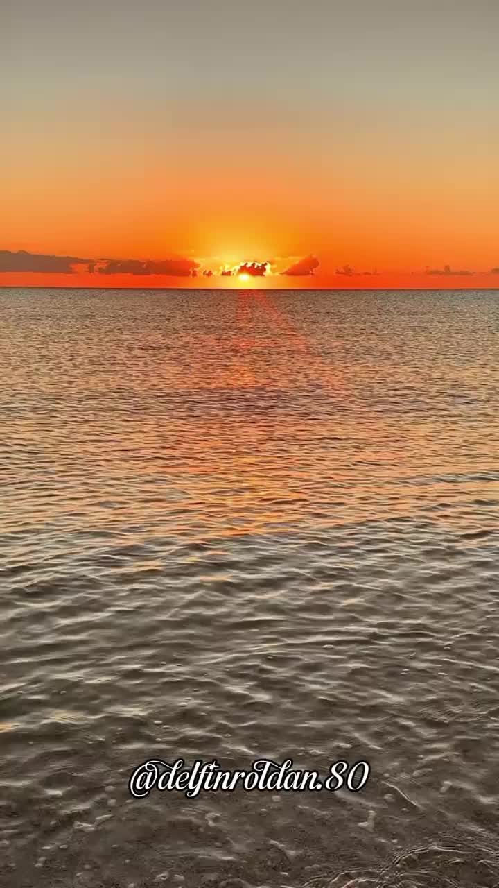 @Delfín🇪🇨