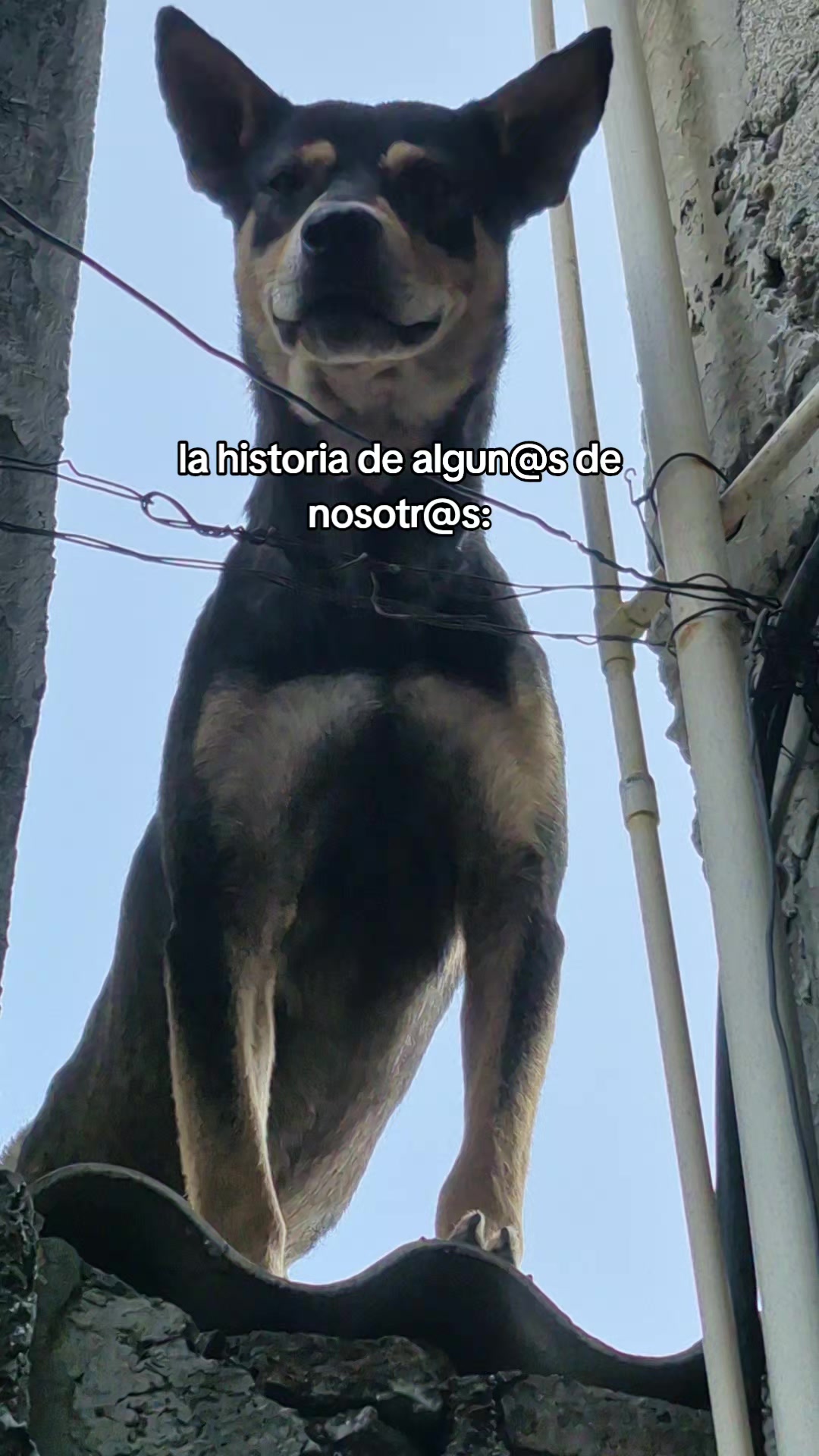 @hanicloud93