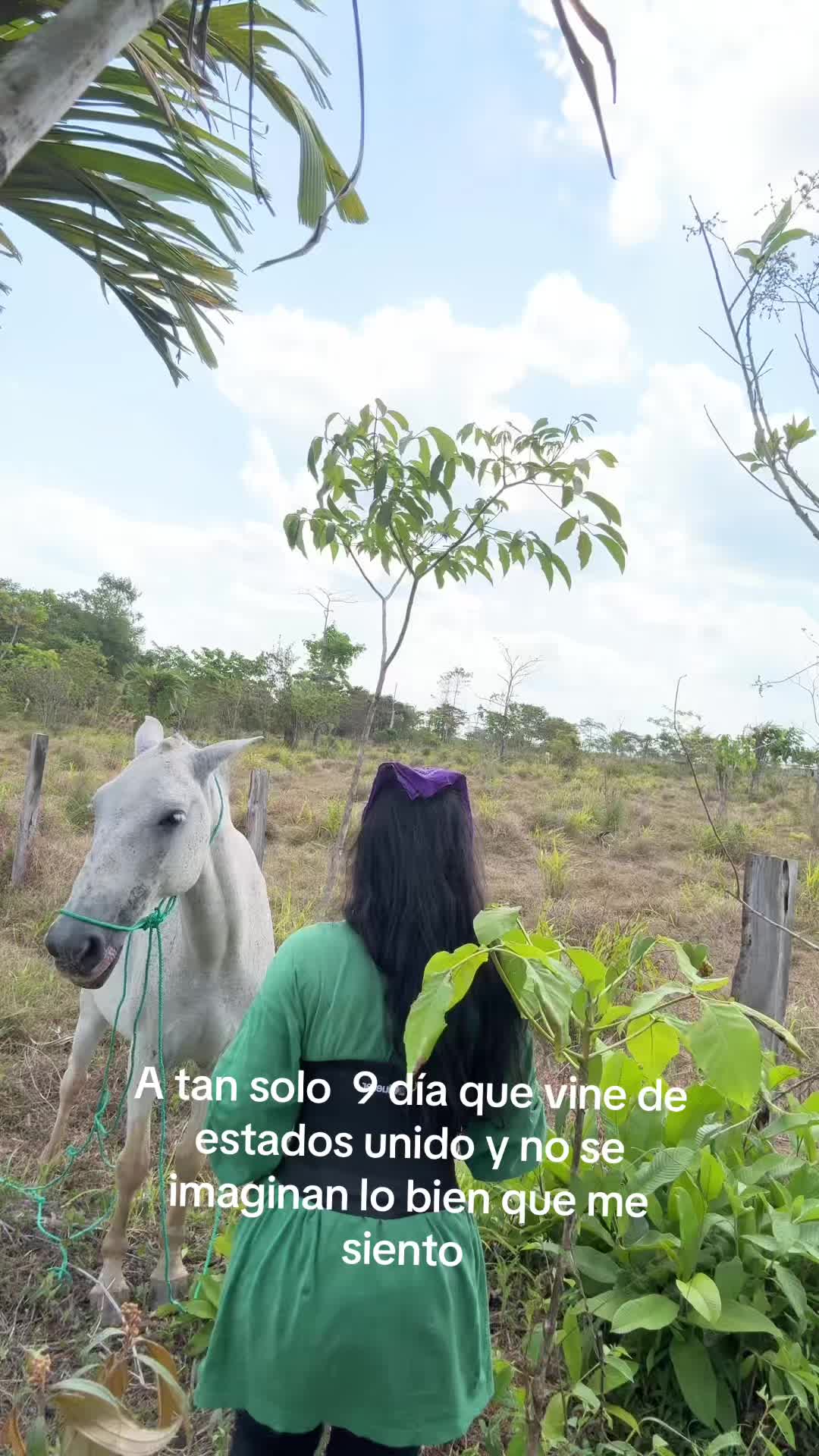@yadira fernandes