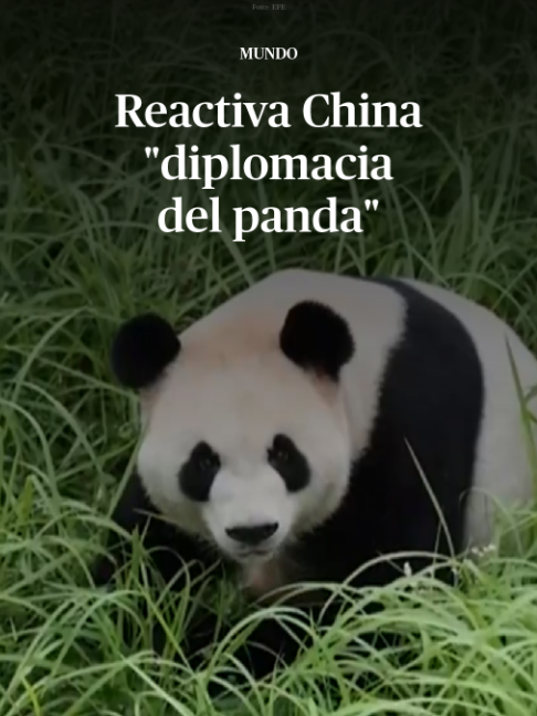 @DiariodeM&eacute;xico