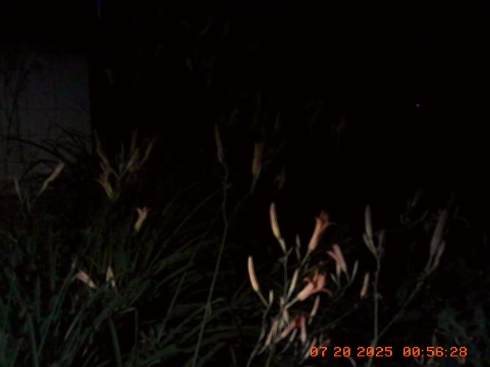 @Light Blending In