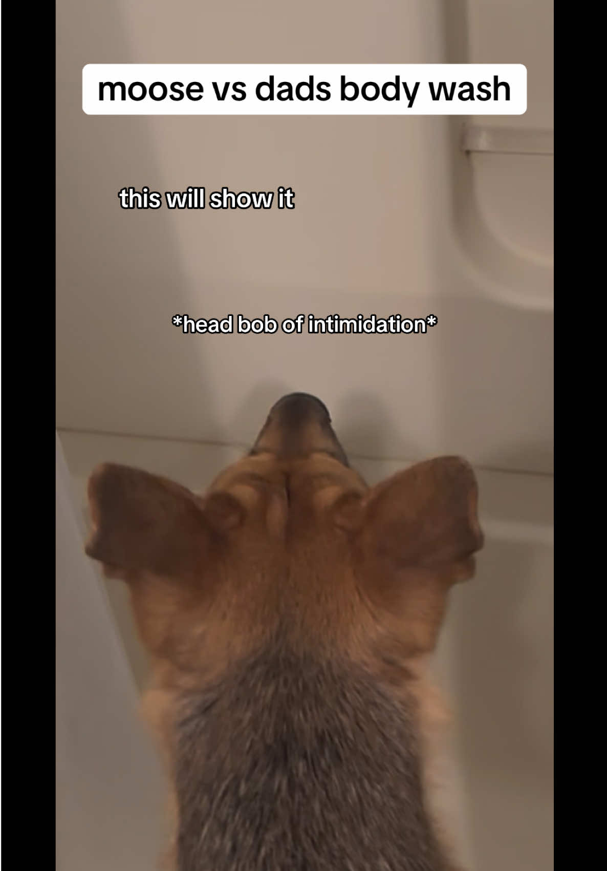 @miloandmoose