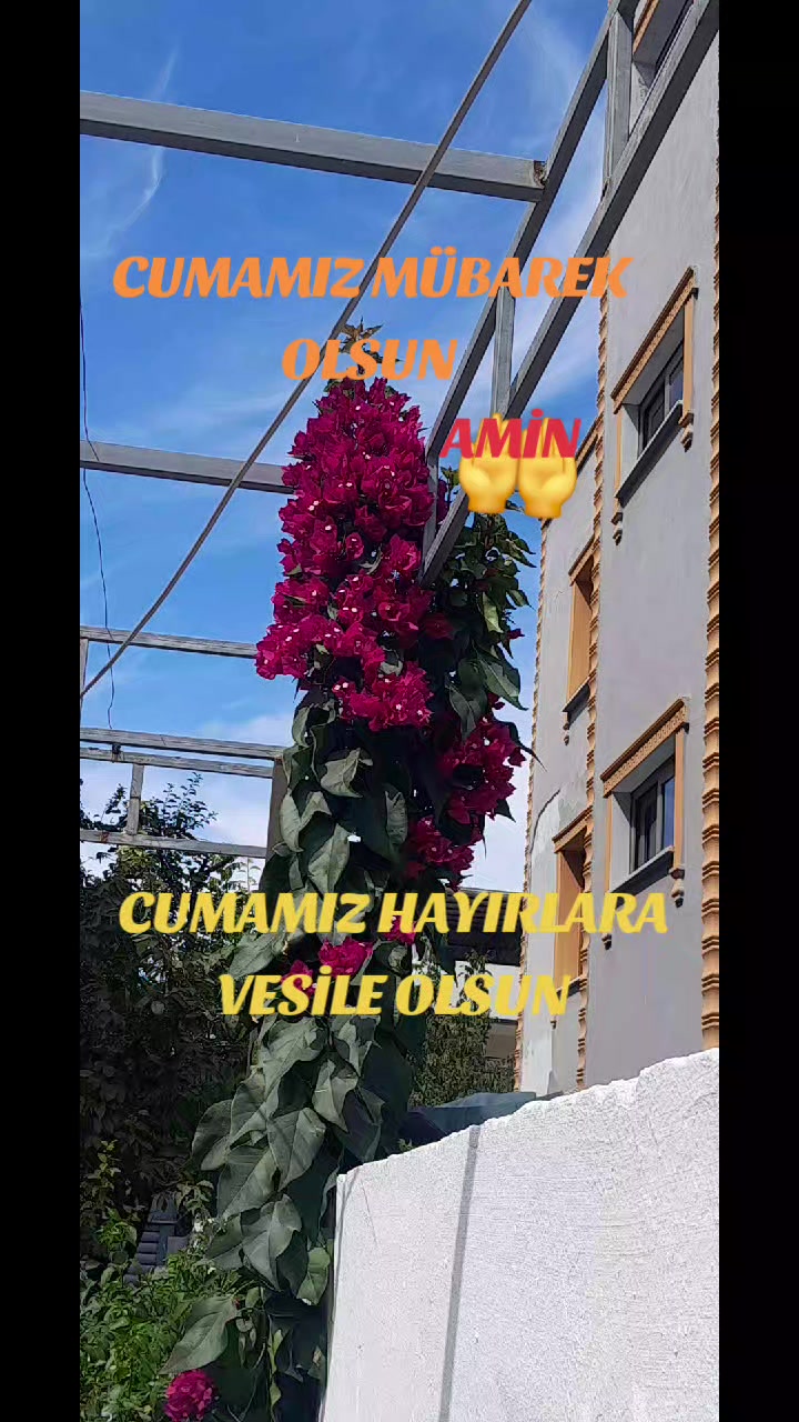 @Hasan Yılmaz