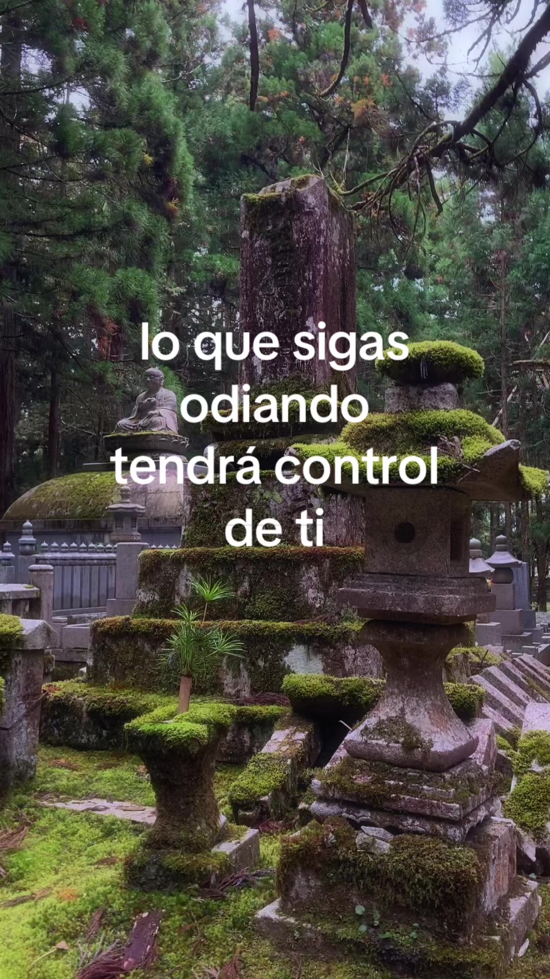 @CaracolArchives