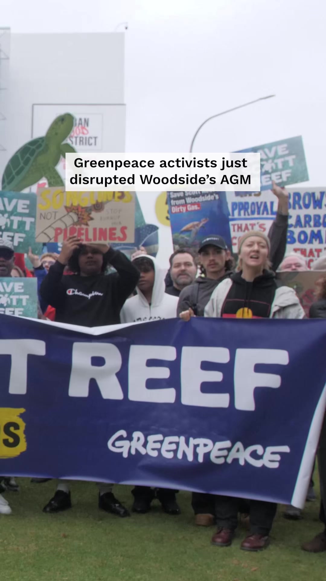 @Greenpeace Australia Pacific