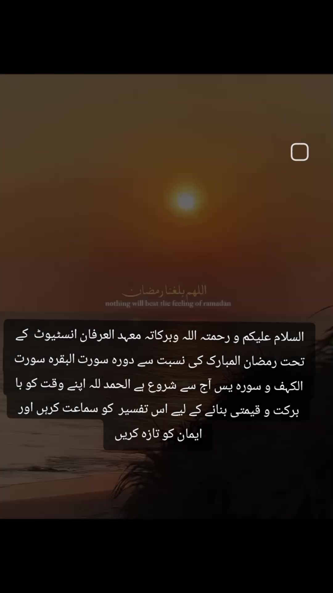 @❣️بنت فاطمہ❣️