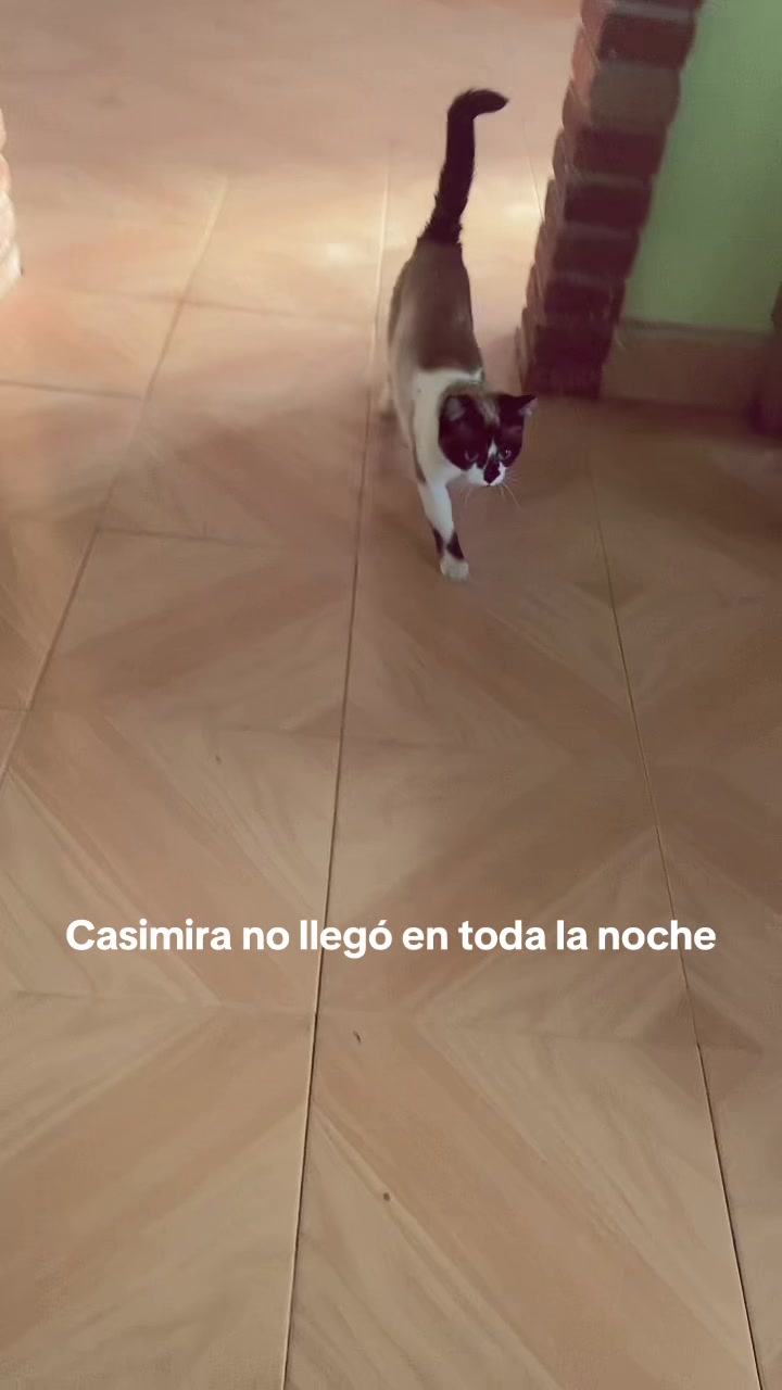 @daniela.pavon96