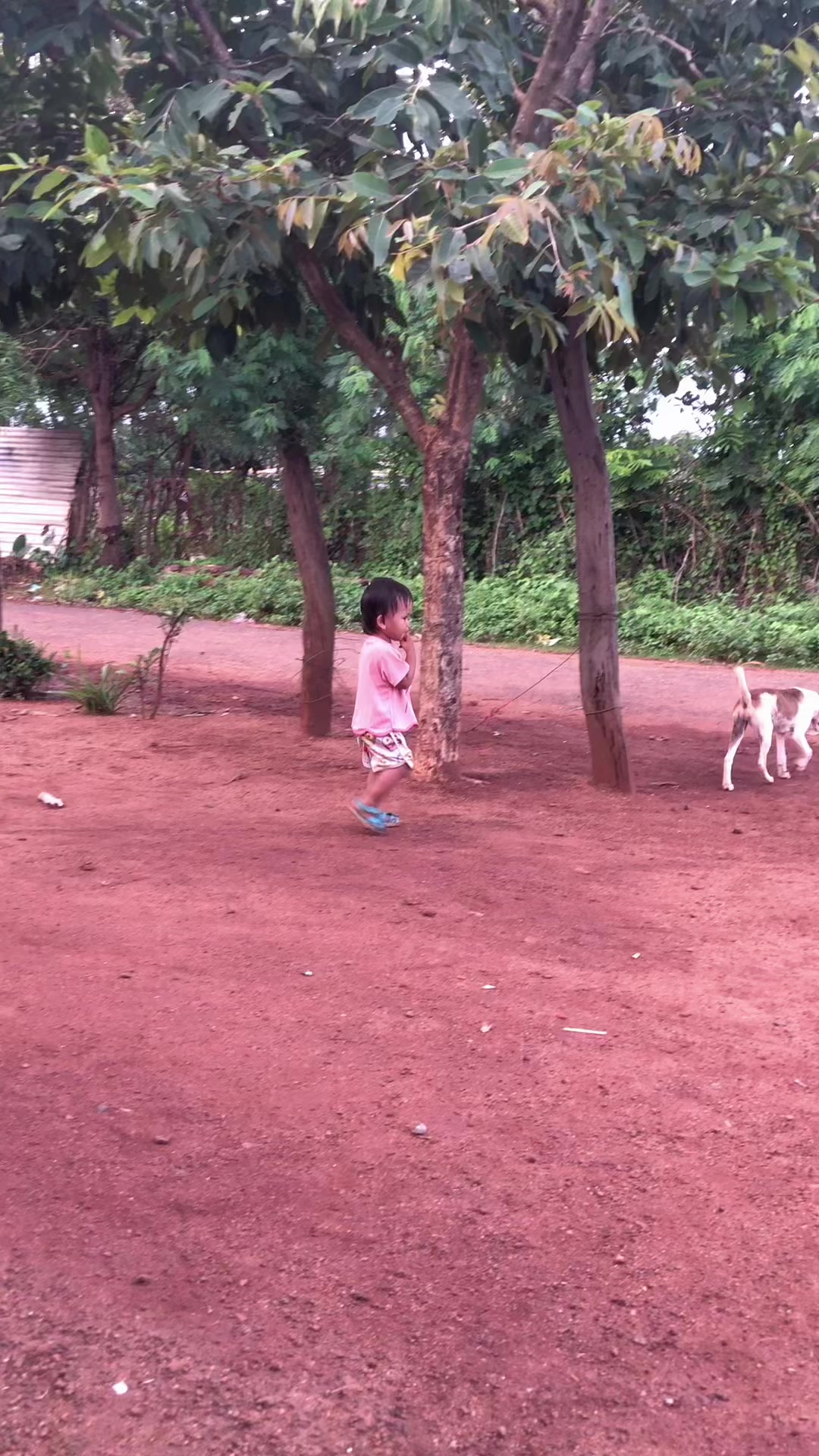 @Vật Cute🥰