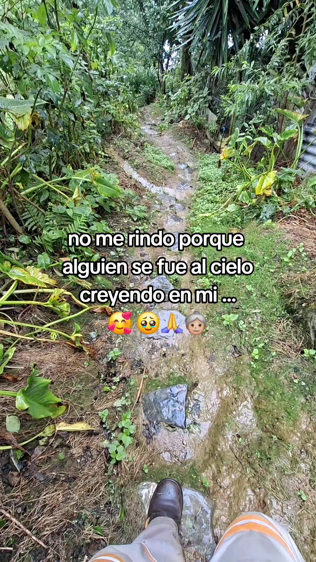 @Fer Zo