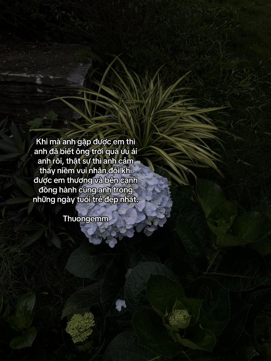 @ᴛʜᴇ ᴇɴᴅ♪☻