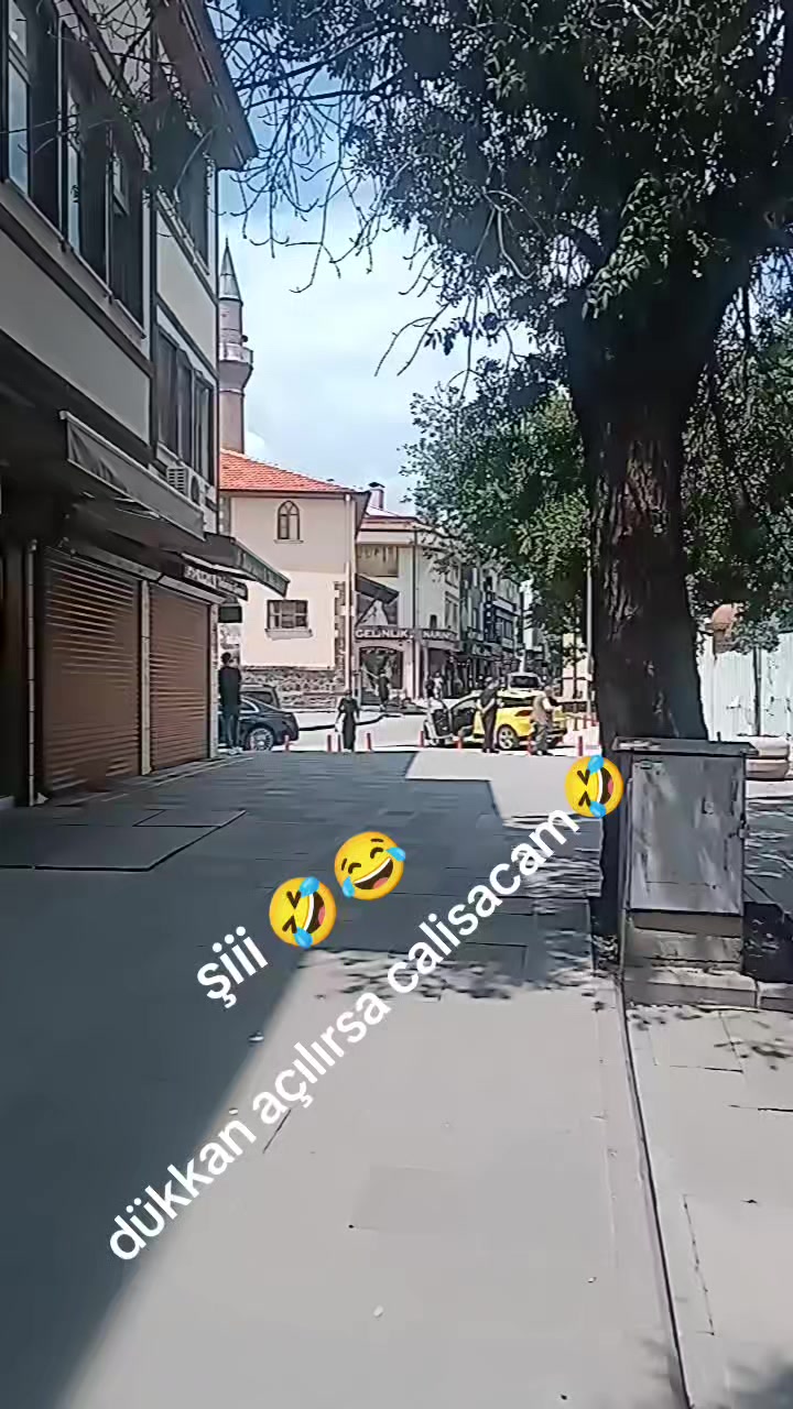 @mevld.dgl