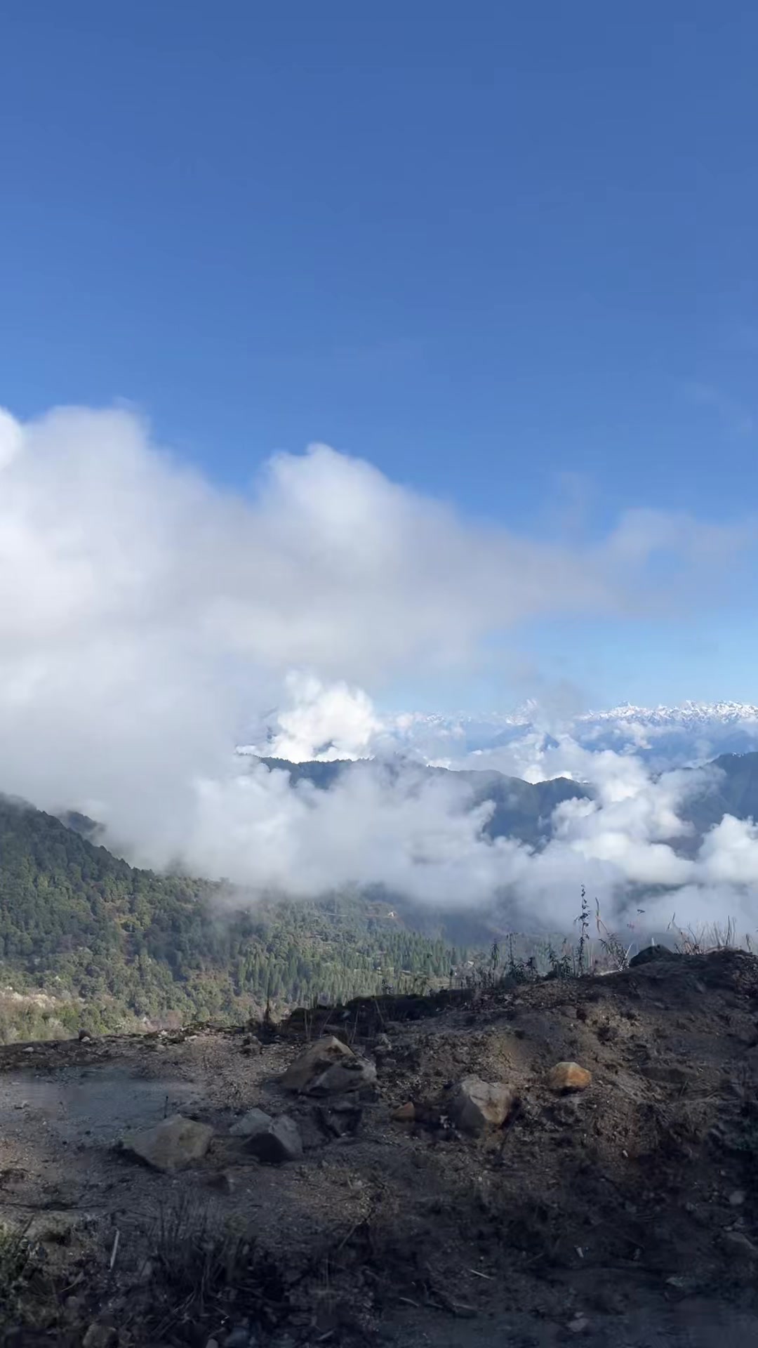 @ཝང་བཟངམོ་བསོད་ནམས་བུ་ཁྲིད།