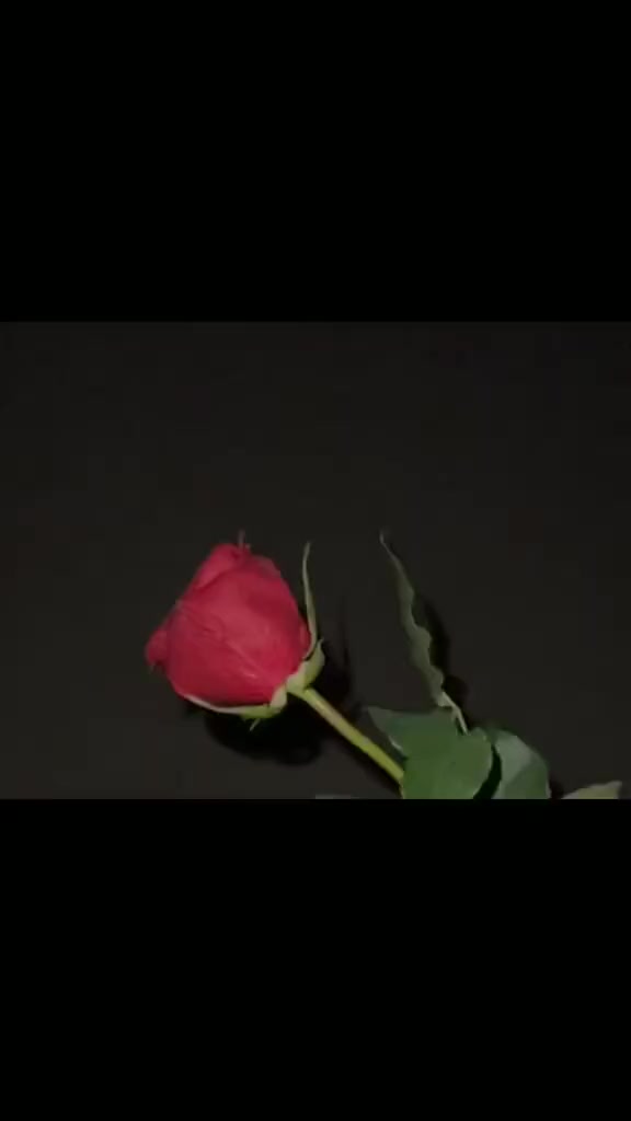 @Zaina khan