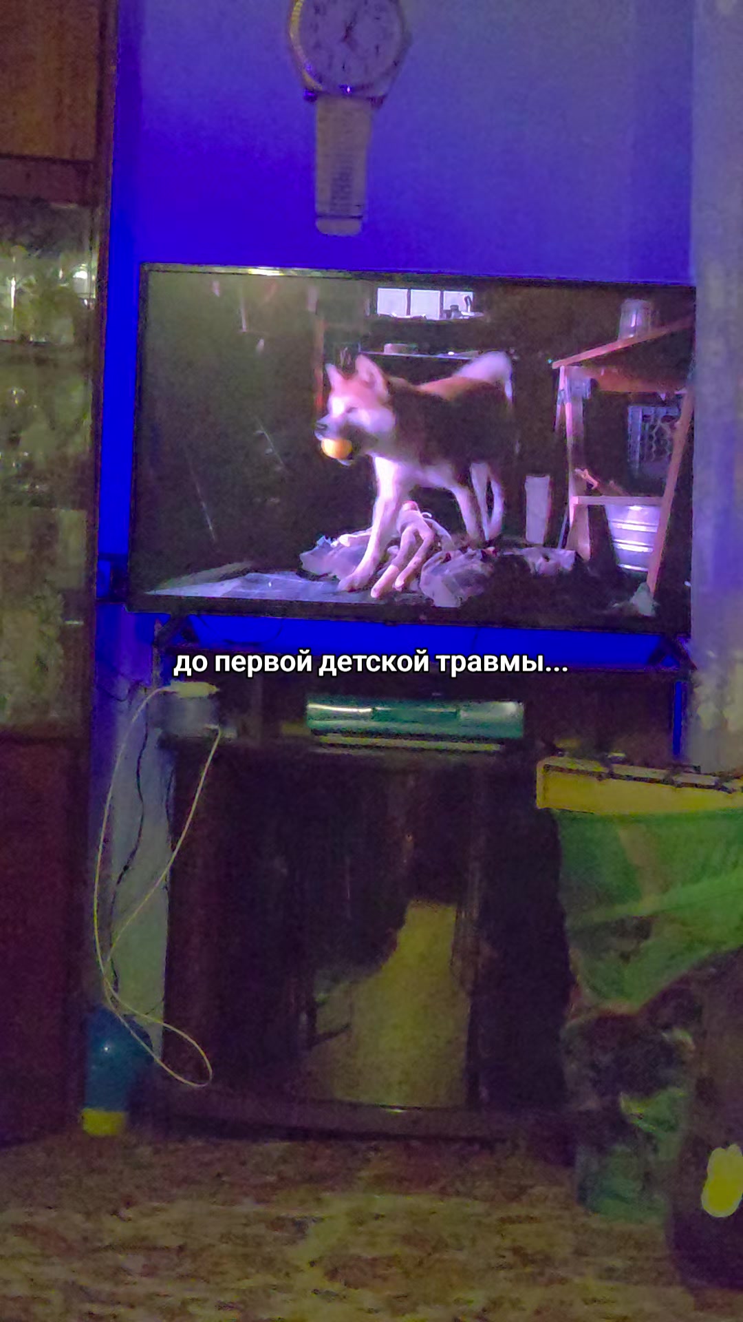 @Anastasia
