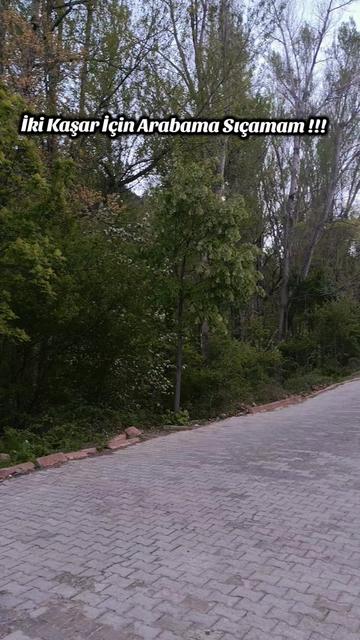 @Adnan Pişken