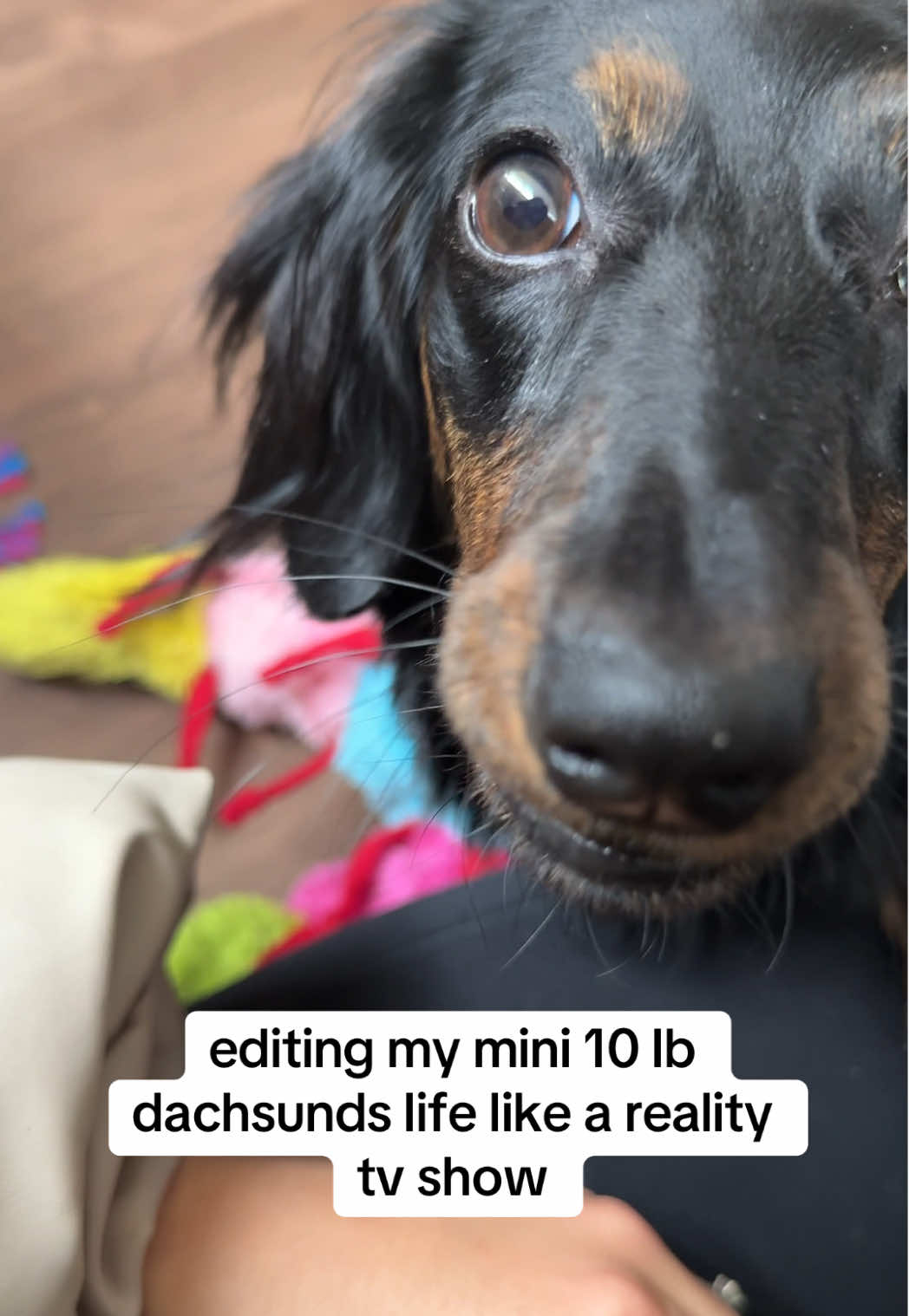 @walkwithceline