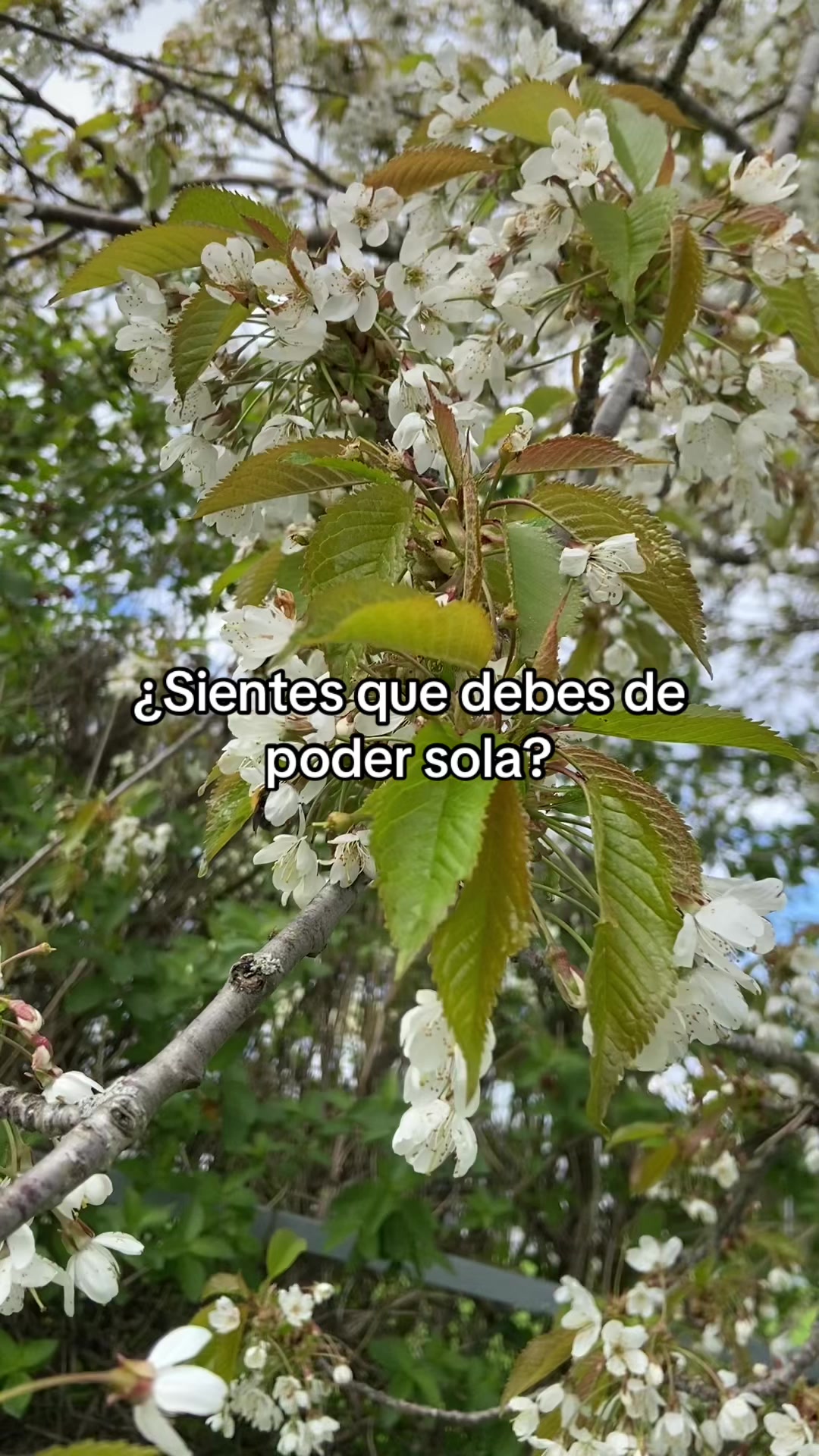 @Ana Garla