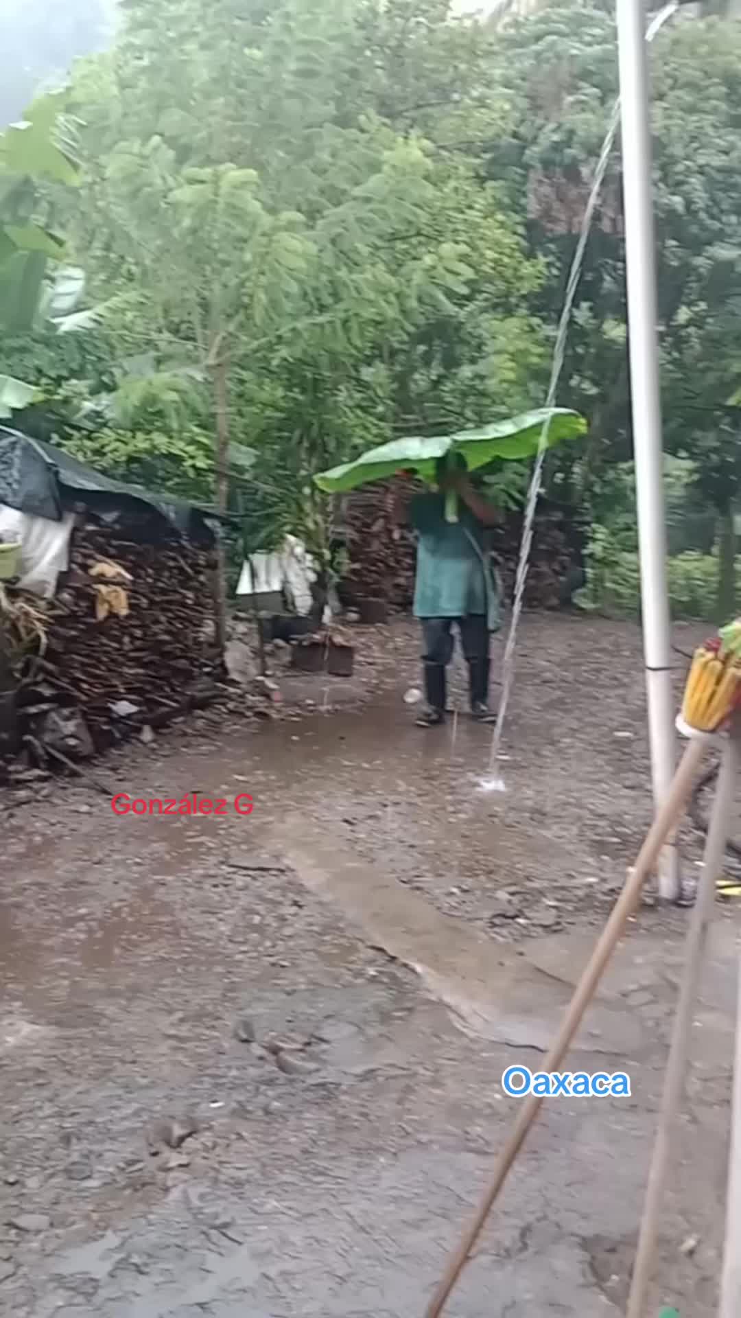 @González G