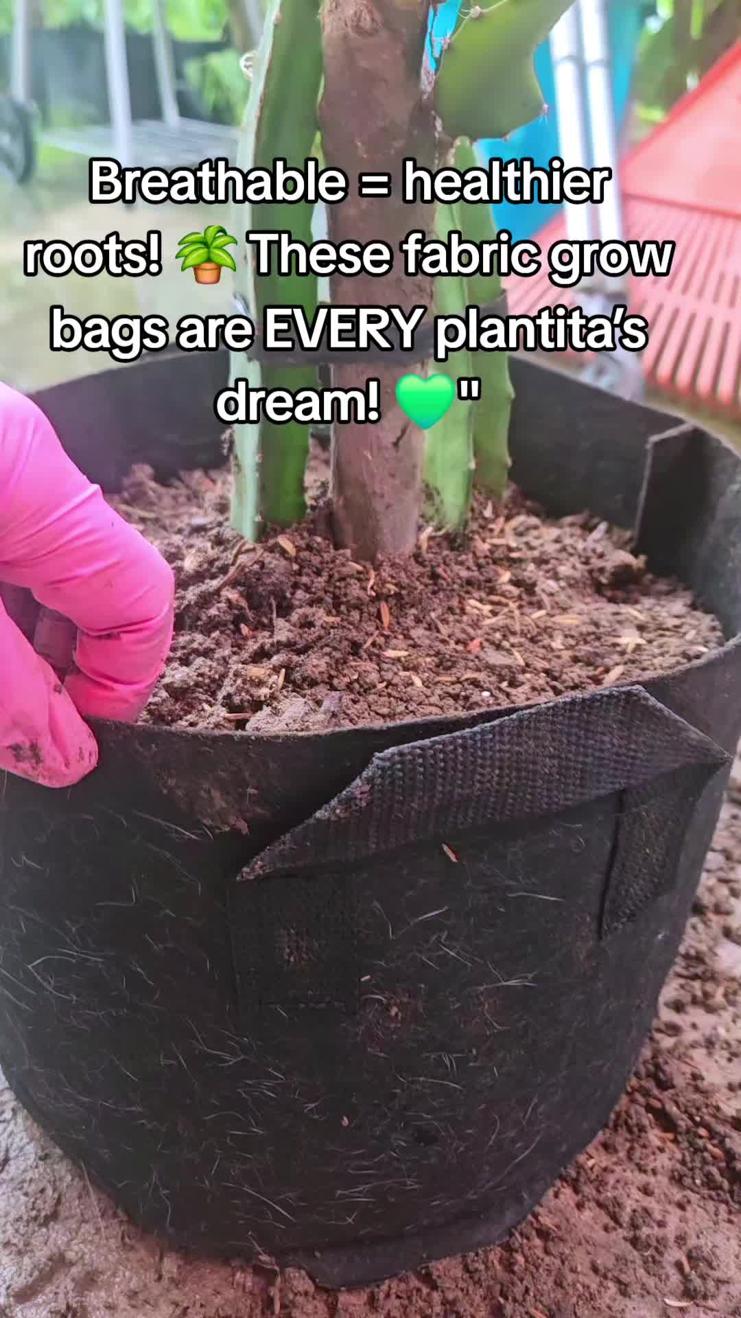 @ᧁꪖⅈꪶ ꪖꪜꫀꪗ🇵🇭🇺🇲