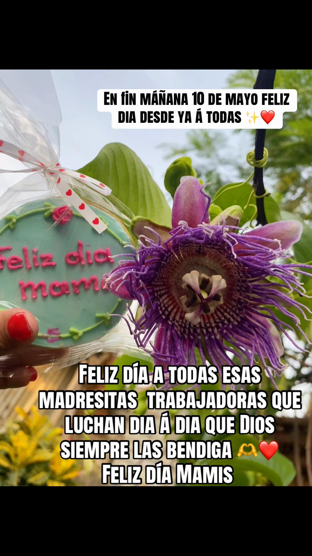 @elena🍒😌