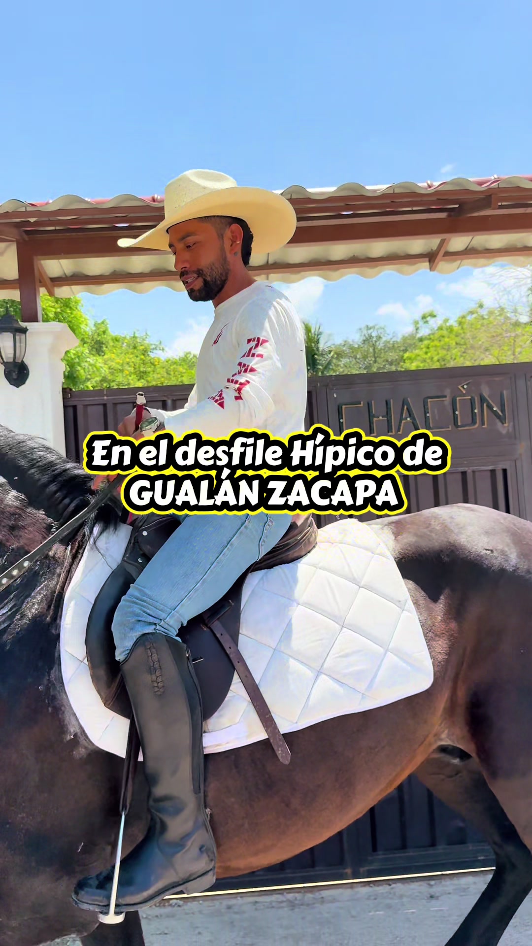 @reydelcaballo.gt